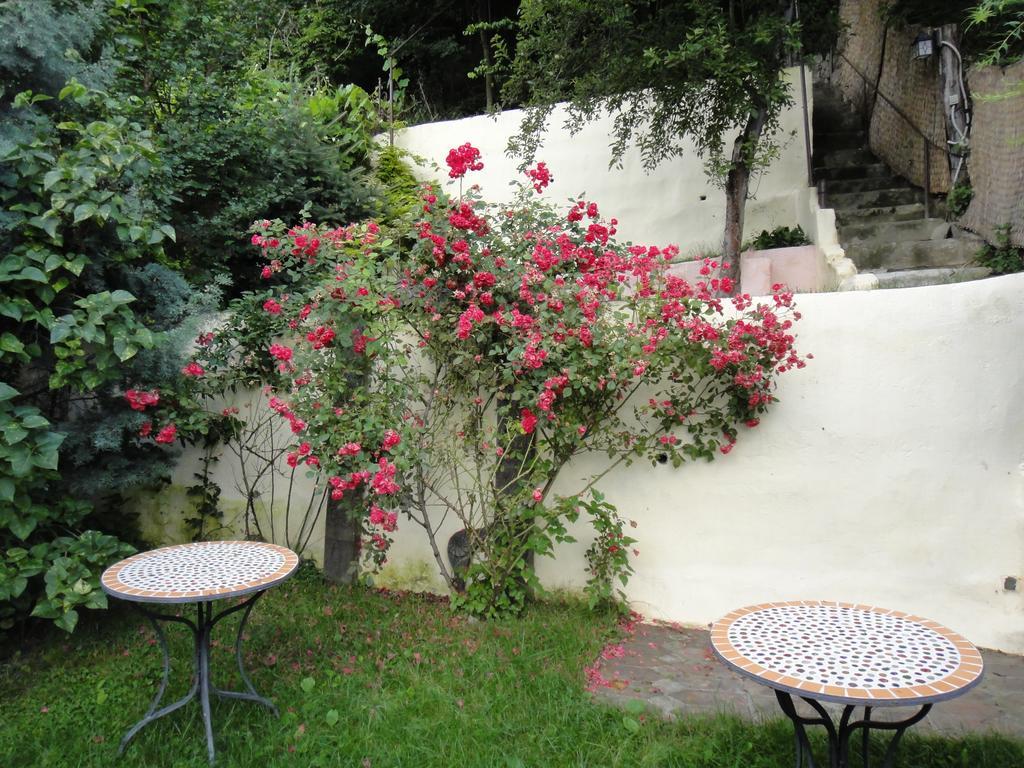 Apartamento Dominic Boutique Sighişoara Habitación foto